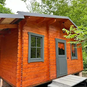 Dream House Батуми